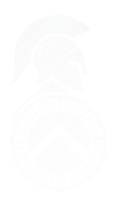 spartan shild insurance vector